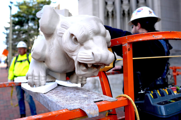 Gargoyle returned to perch